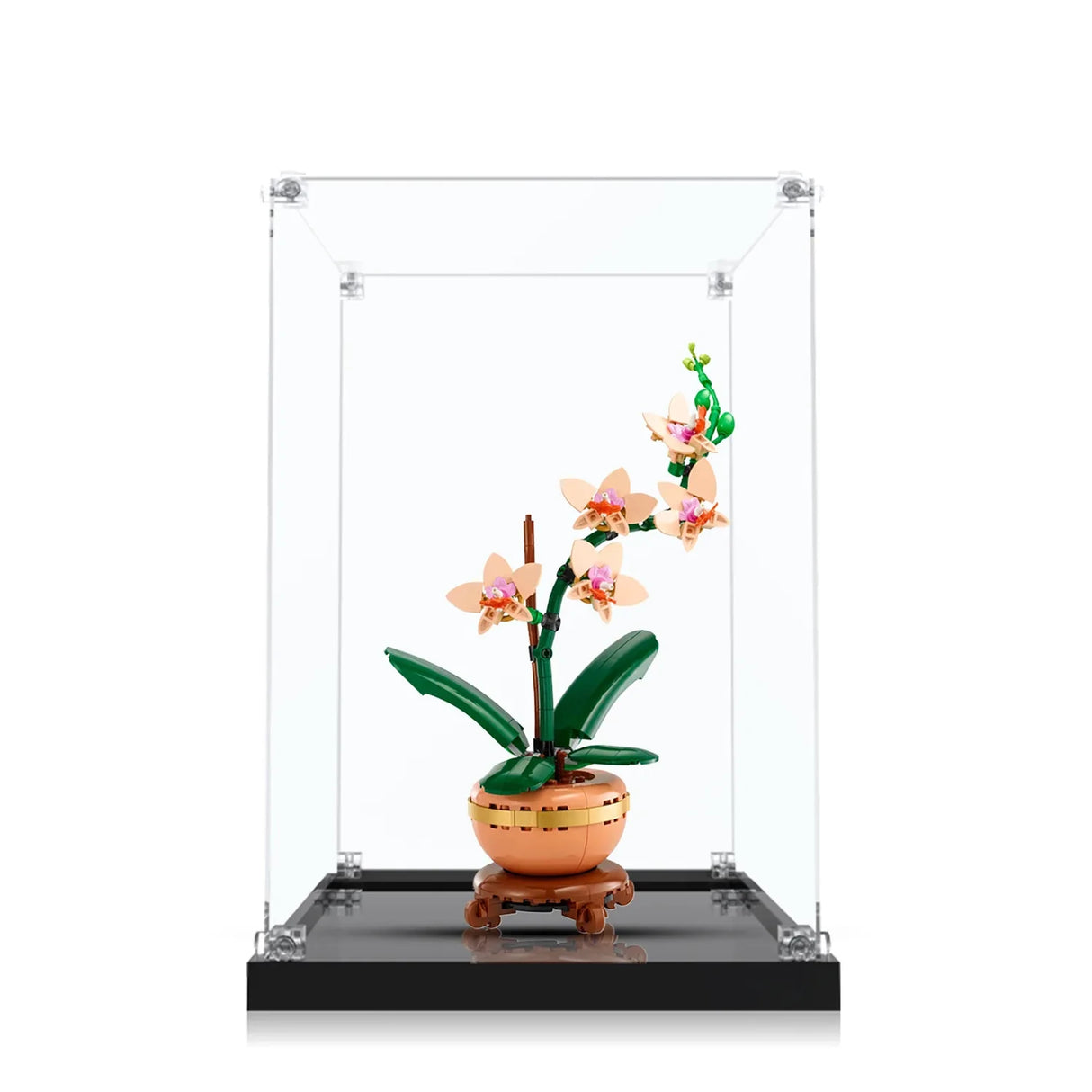 Lego Orchidee in einer durchsichtigen Vitrine mit schwarzem Boden