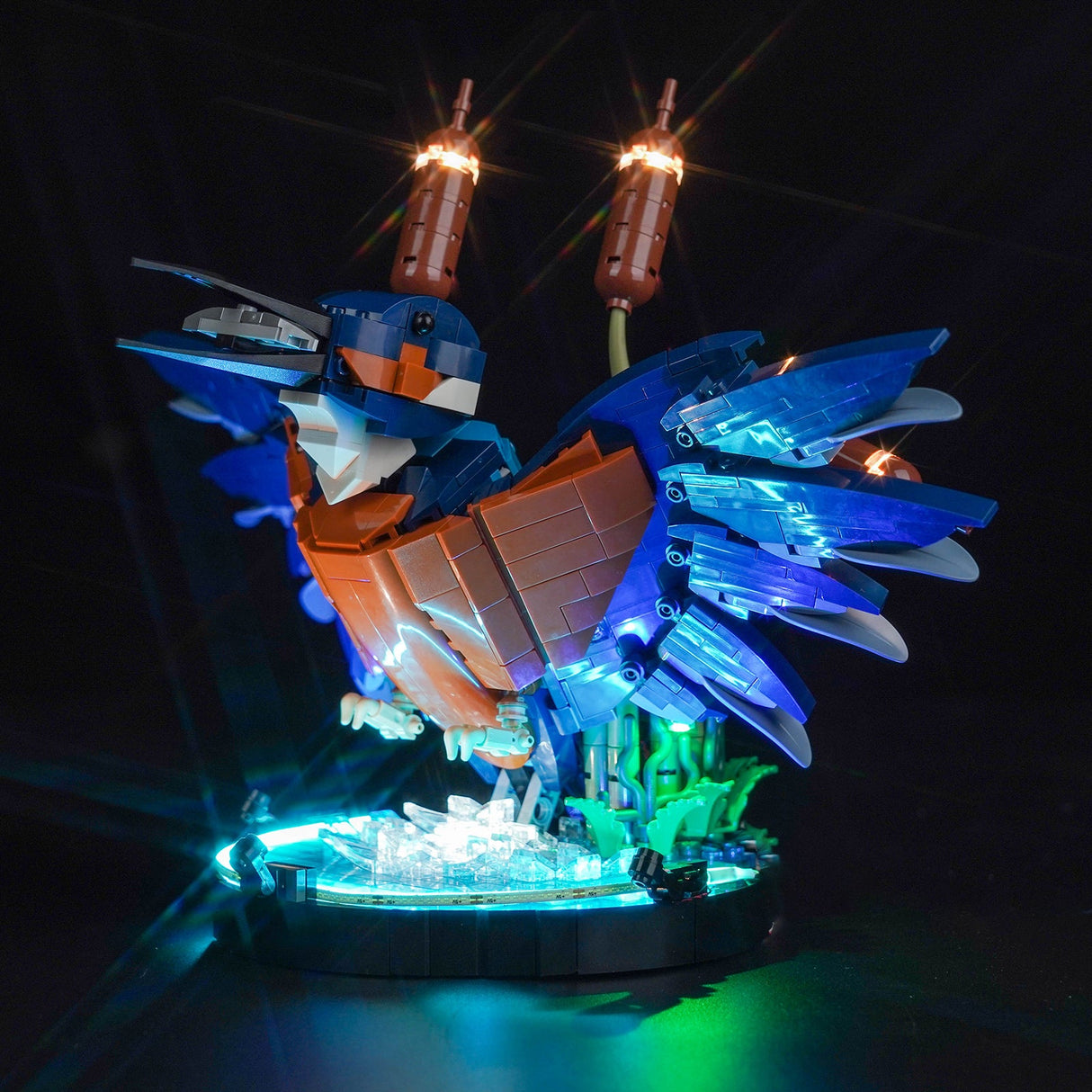 Beleuchtetes Eisvogel Modell aus Klemmbausteinen vor schwarzem Hintergrund