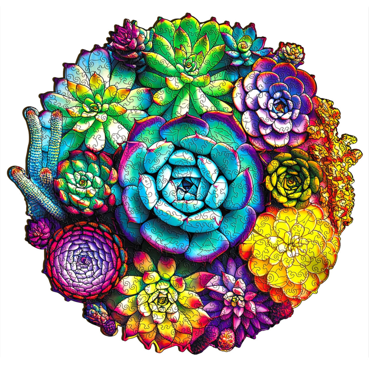 Rundes Puzzle mit bunten Sukkulenten in verschiedenen Formen und Farben