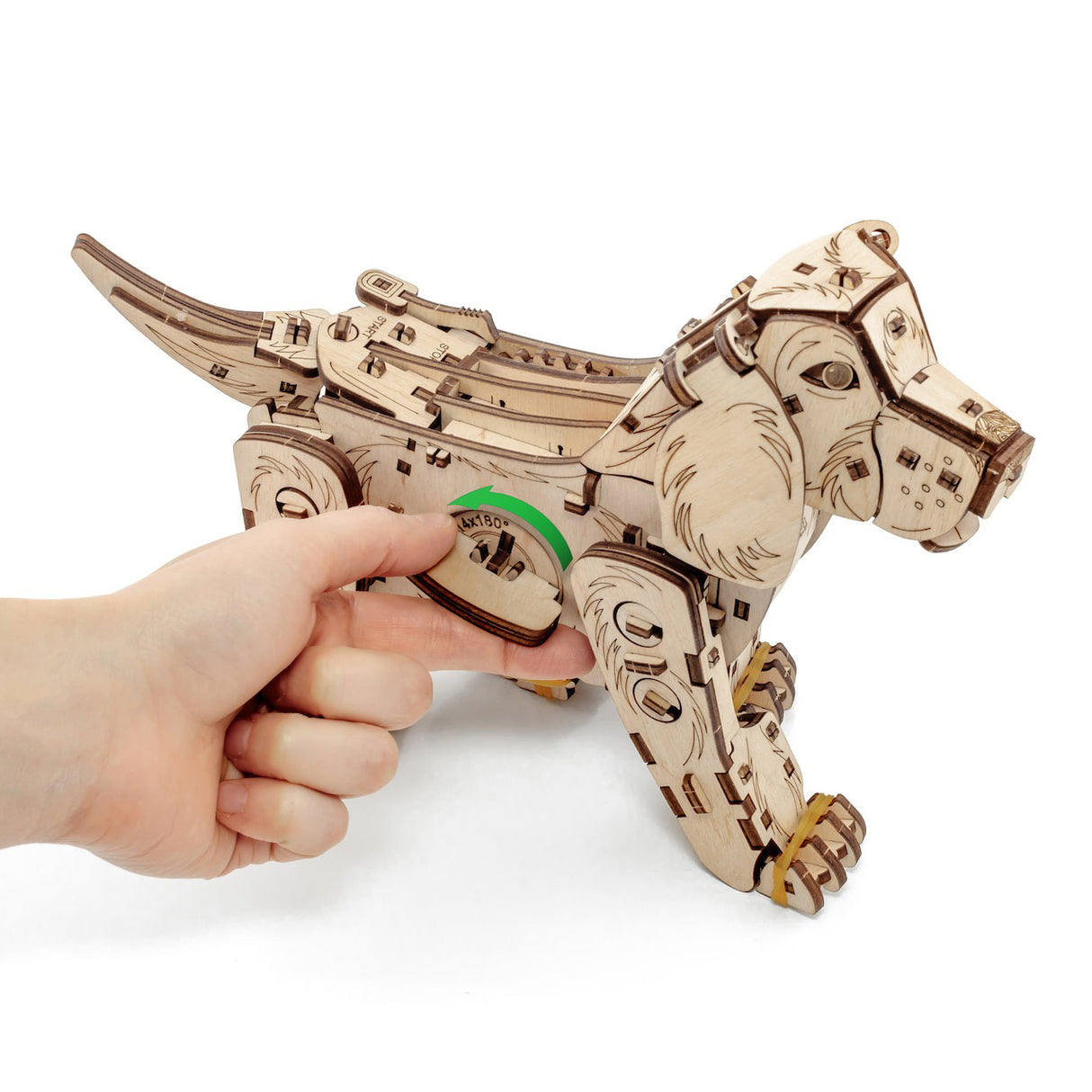 Hand dreht ein Holzpuzzleteil eines Hundes mit Pfeil und 4x180° Beschriftung