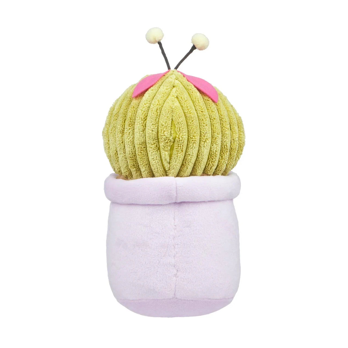 Grüner Kaktus in lila Topf mit rosa Blüten und zwei weißen Antennen