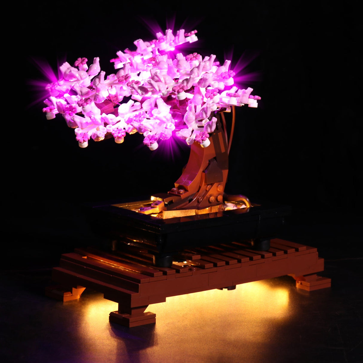Stimmungsvolle Studioaufnahme des LEGO Bonsai Baums mit rosa LED-Licht-Upgrade für die Kirschblüten und goldenem Lichteffekt in der Pflanzschale.