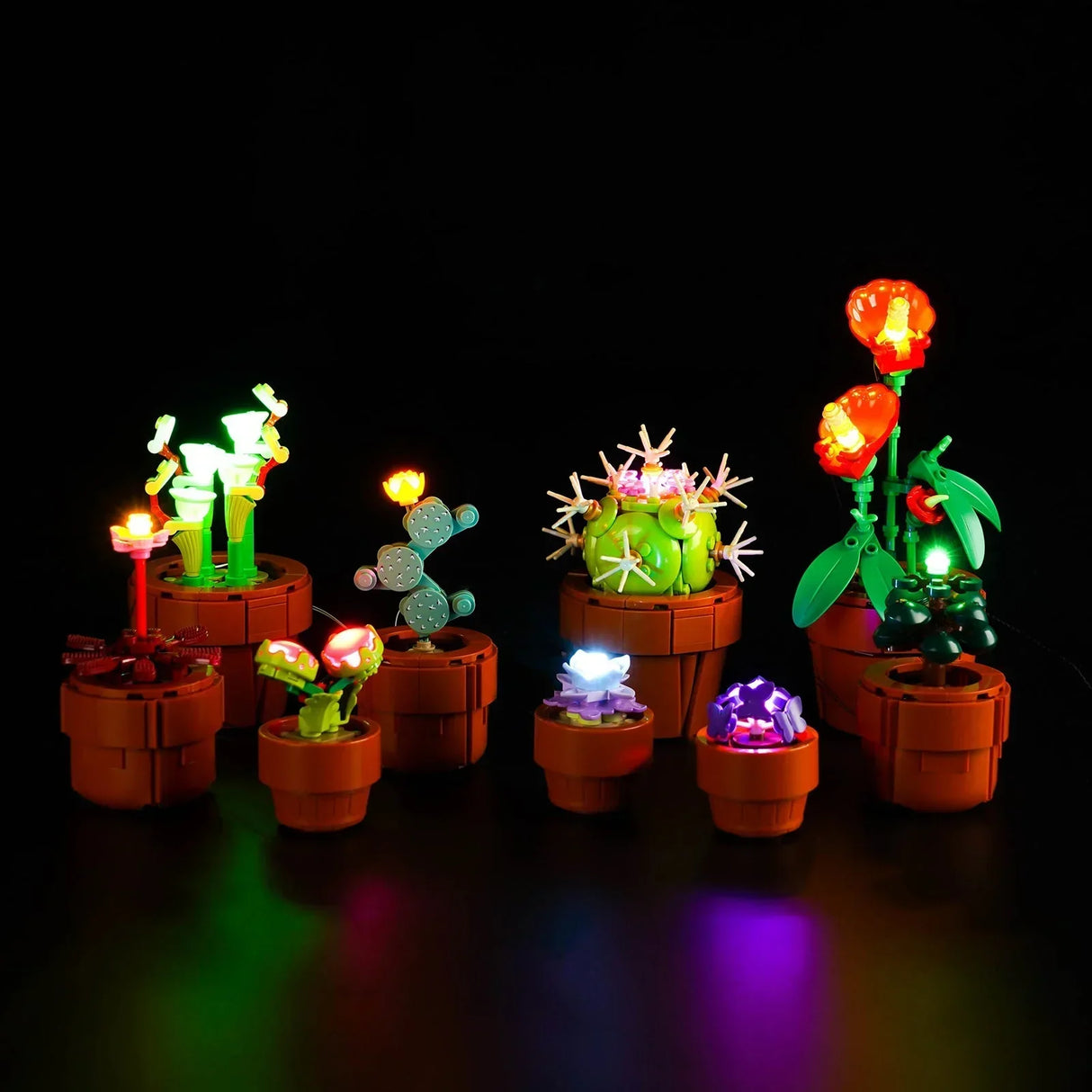 Das komplette LEGO Botanicals Set Mini-Pflanzen (10329) bestehend aus 9 verschiedenen Kakteen und Sukkulenten, alle individuell mit farbigen LED-Lichtern beleuchtet auf dunklem Untergrund.