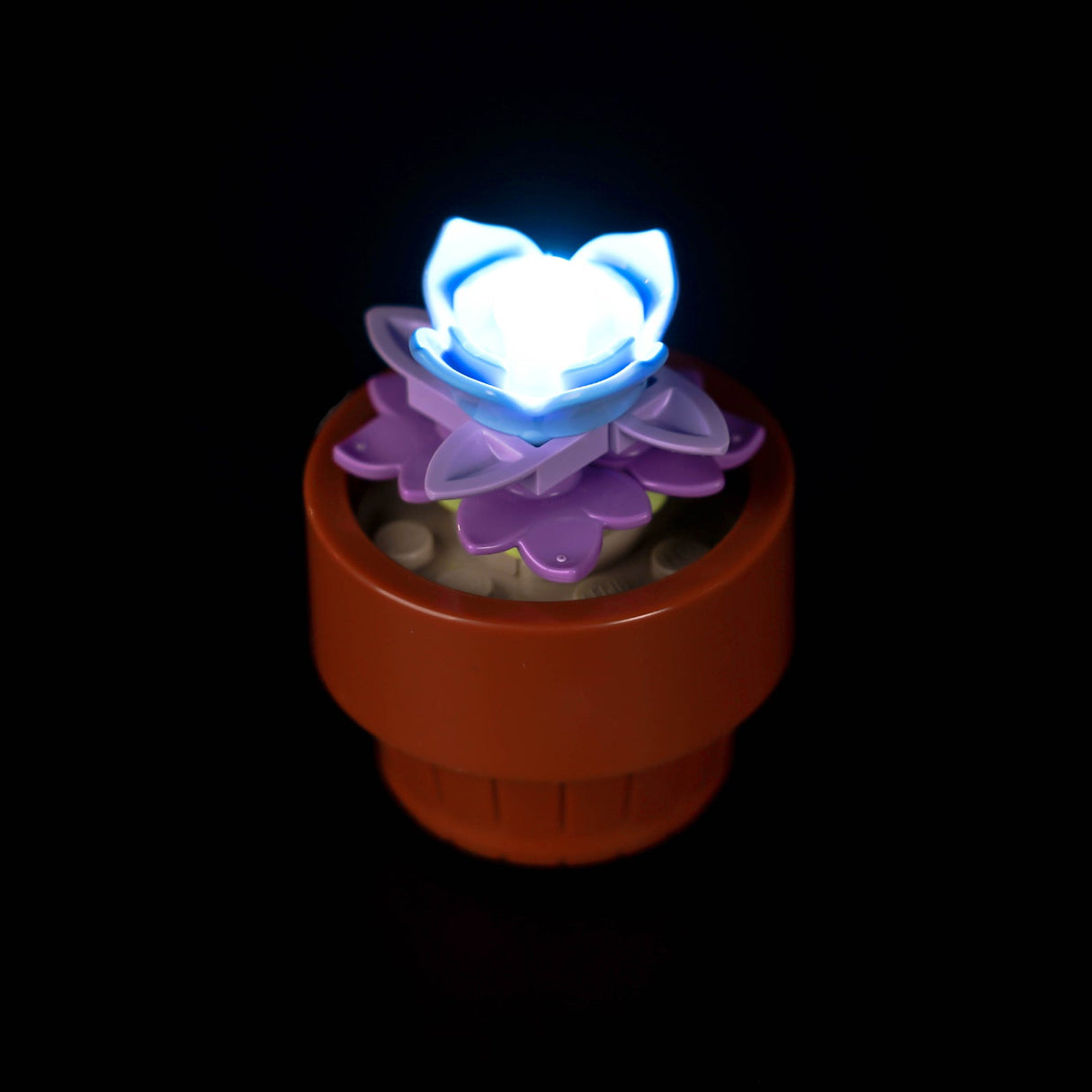 Ensemble d'éclairage LED pour LEGO Mini Plants (10329)