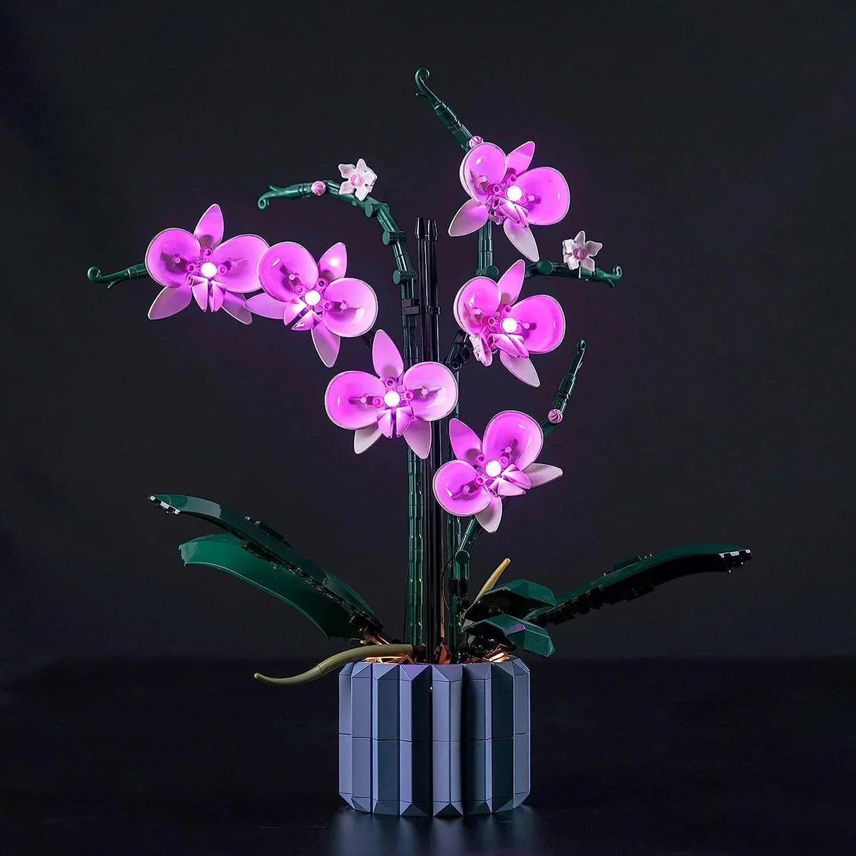 Komplettes LEGO Orchidee 10311 Set inklusive blauem Topf und aktivierter LED-Beleuchtung vor schwarzem Hintergrund.