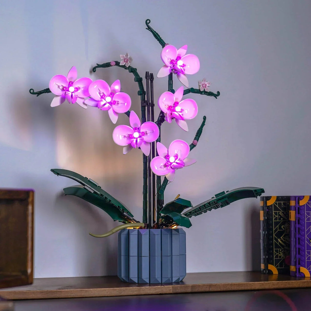 LEGO Orchidee 10311 mit eingeschalteter pinkfarbener LED-Beleuchtung auf einem Holzregal vor einer hellen Wand.