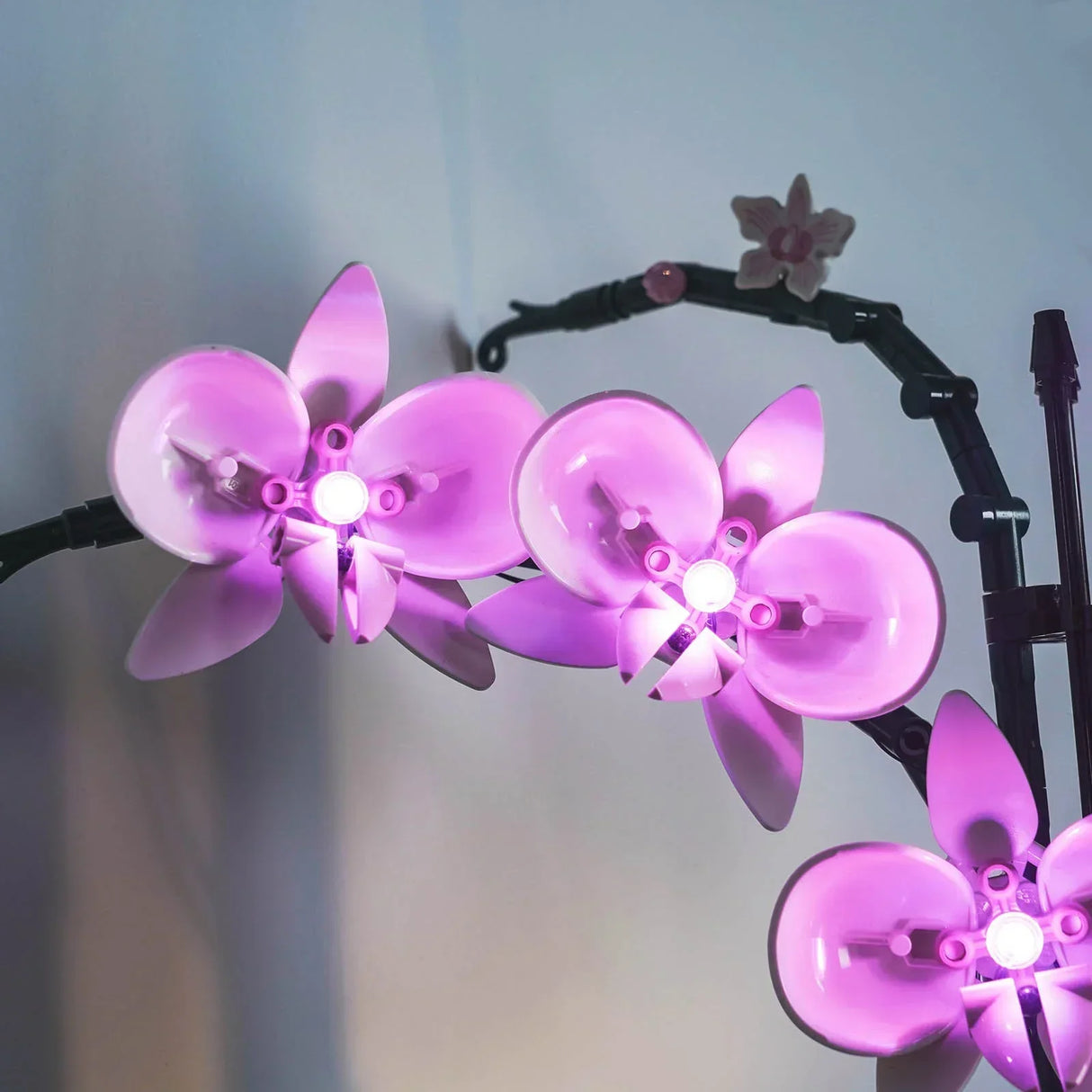 Zwei hell leuchtende pinke LEGO Orchideenblüten in der Nahaufnahme mit warmweißen LED-Lichtern im Zentrum.