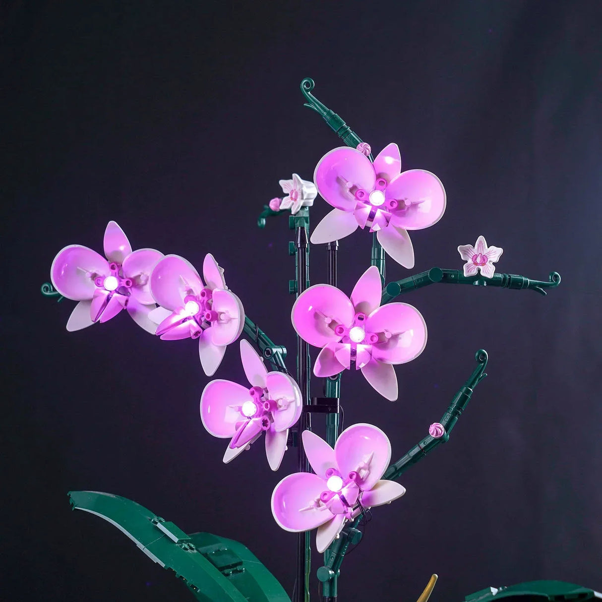 Detailansicht des oberen Zweigs der LEGO Orchidee mit sechs beleuchteten rosa Blüten durch ein LED-Lichtset.