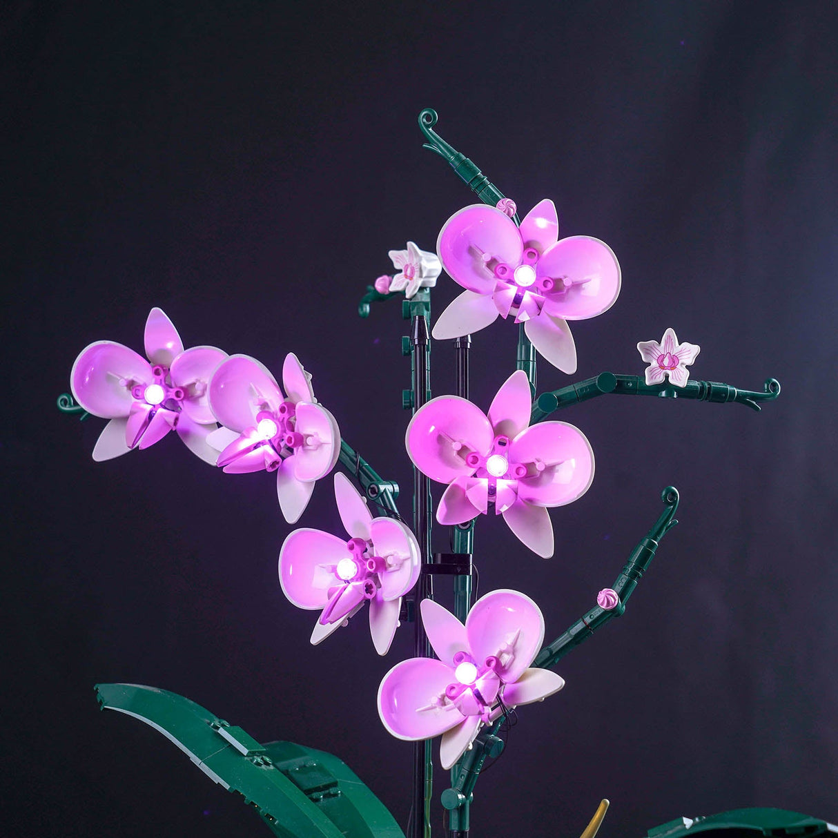 Ensemble de lumières LED pour LEGO Orchidée (10311)