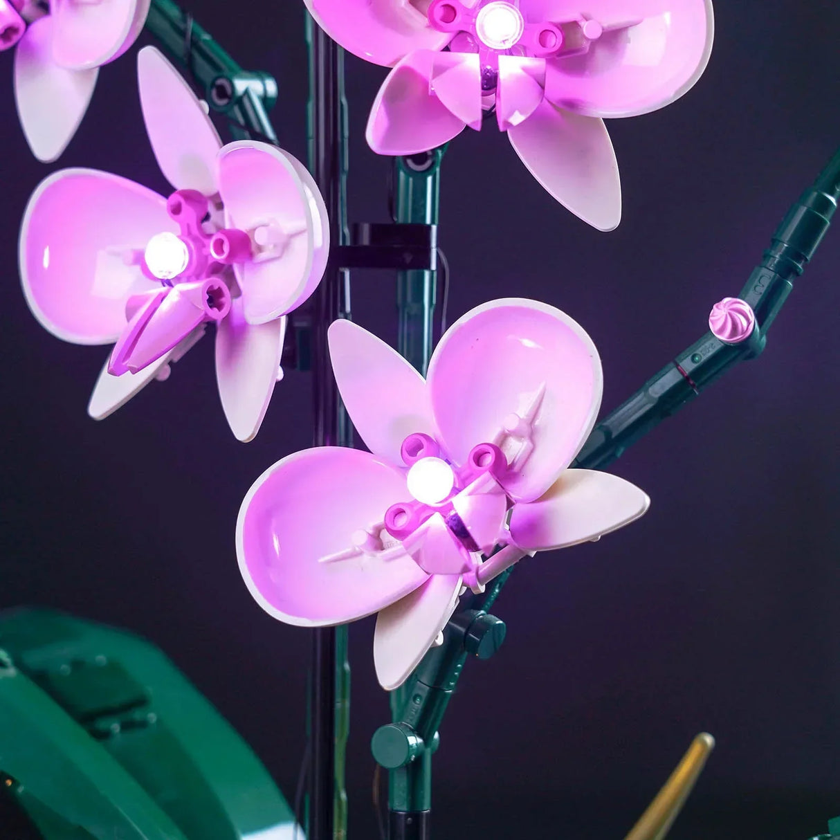 Nahaufnahme der LEGO Orchidee Blüten mit integrierten, leuchtenden LED-Dioden im Blütenzentrum vor dunklem Hintergrund.