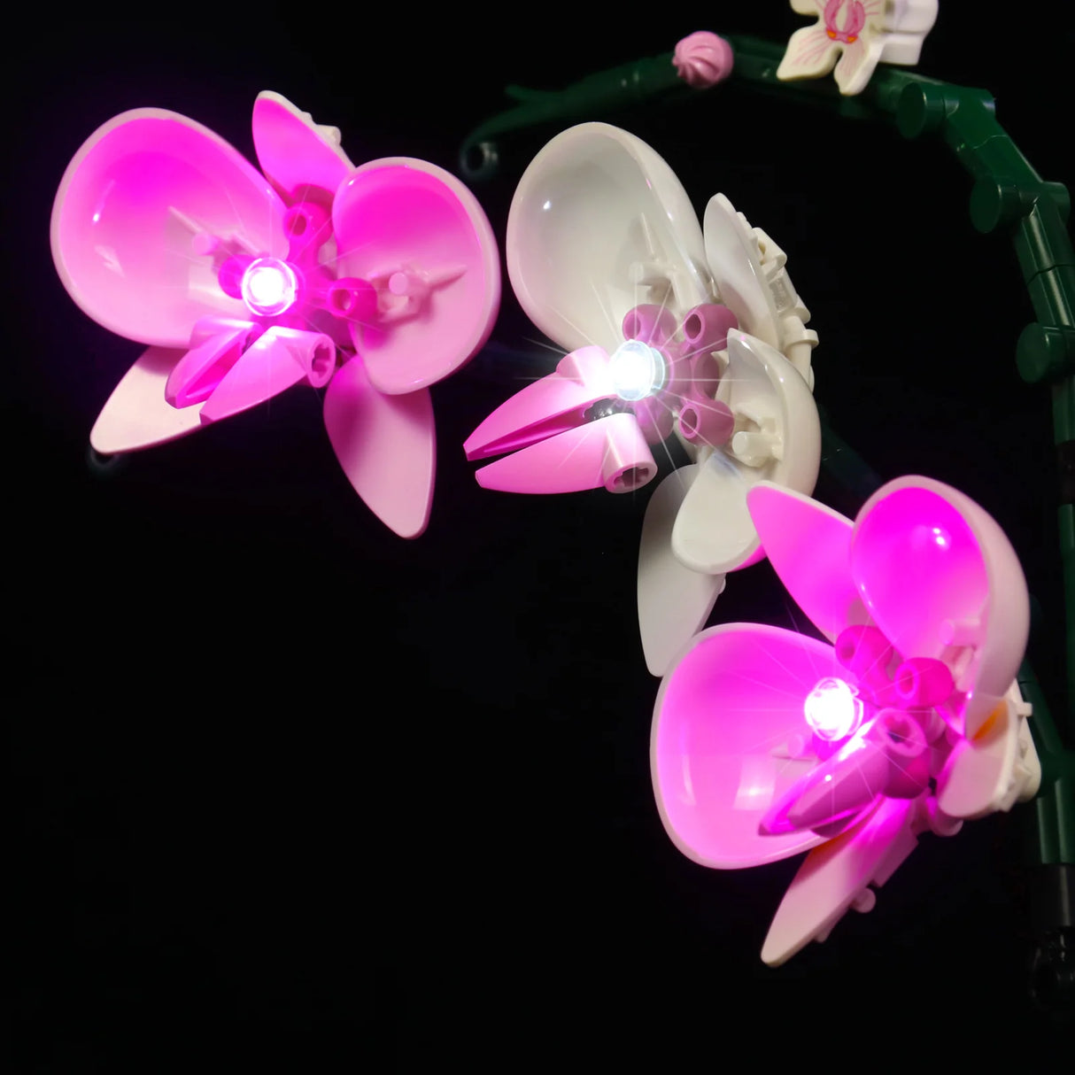 Beleuchtete Orchideenblüten aus Kunststoffbausteinen vor schwarzem Hintergrund