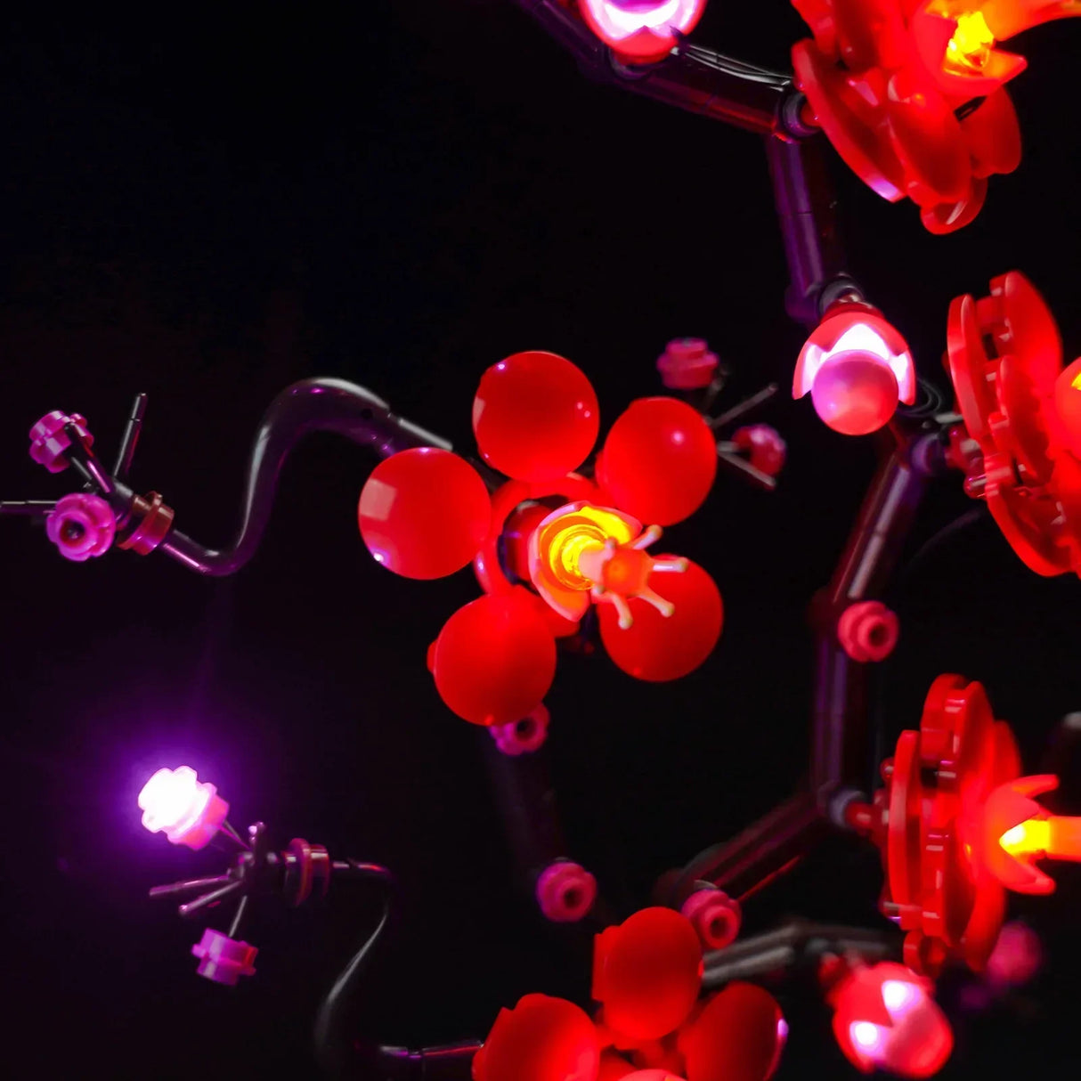 Leuchtende rote und violette Blumen aus Kunststoffteilen vor schwarzem Hintergrund