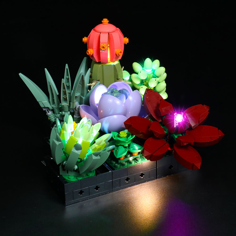 Beleuchtetes Lego Sukkulenten Set mit verschiedenen Pflanzen auf schwarzem Hintergrund