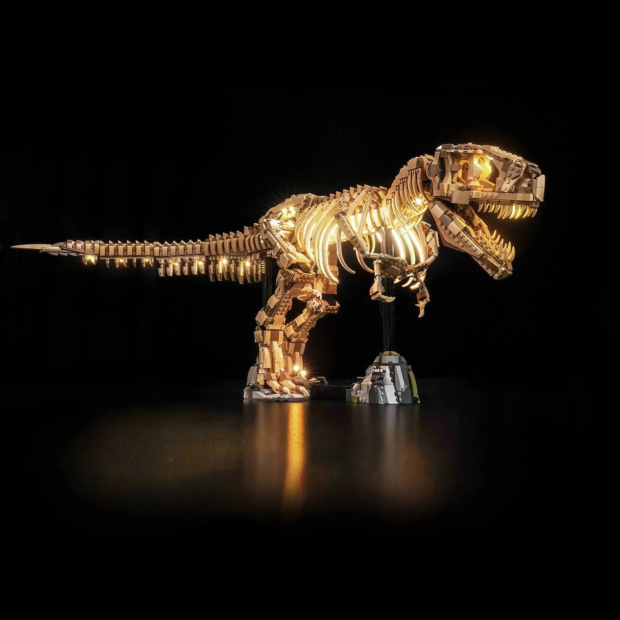 Beleuchtetes LEGO T-Rex Skelett auf schwarzem Hintergrund