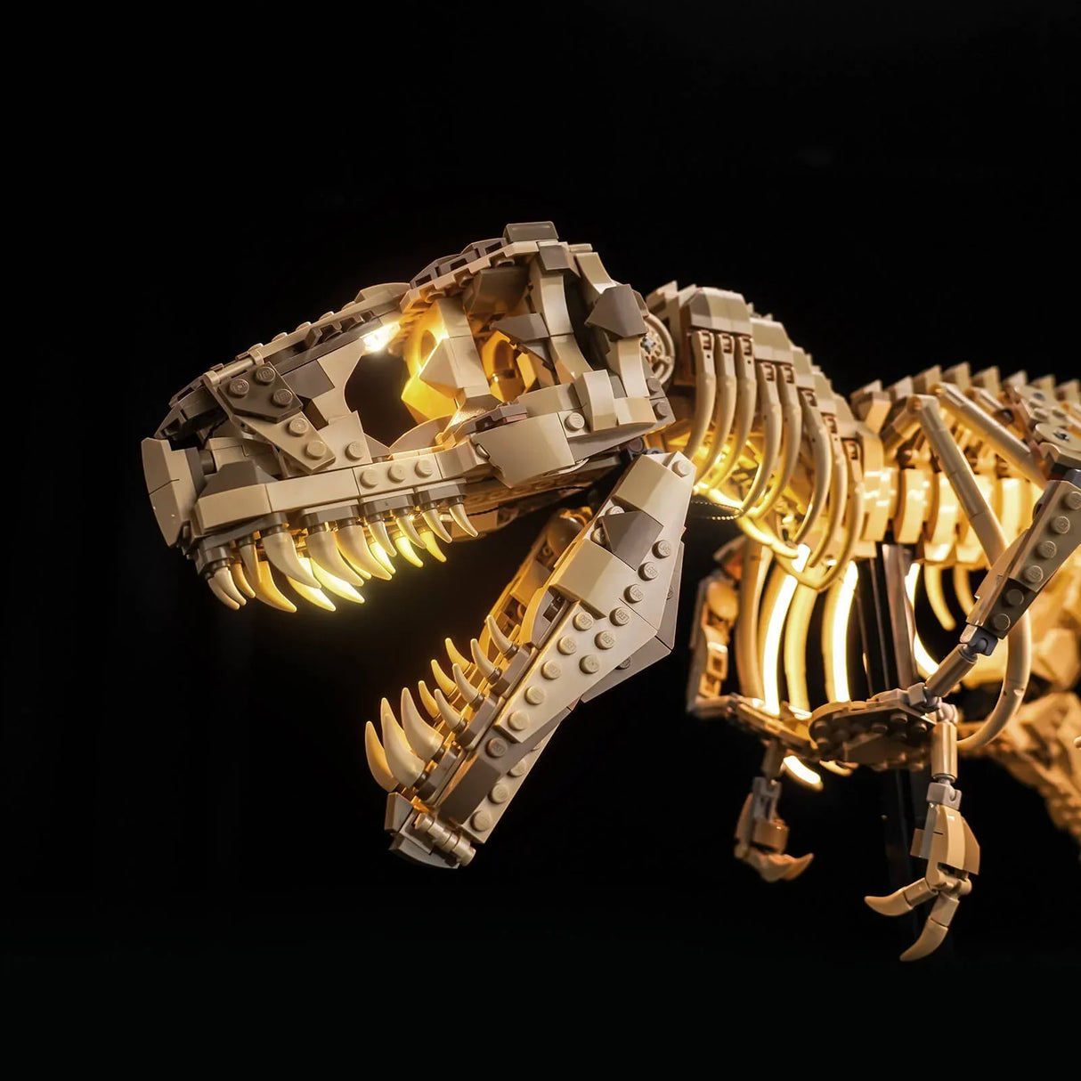 Beleuchtetes LEGO T-Rex-Skelett mit geöffnetem Maul und scharfen Zähnen auf schwarzem Hintergrund