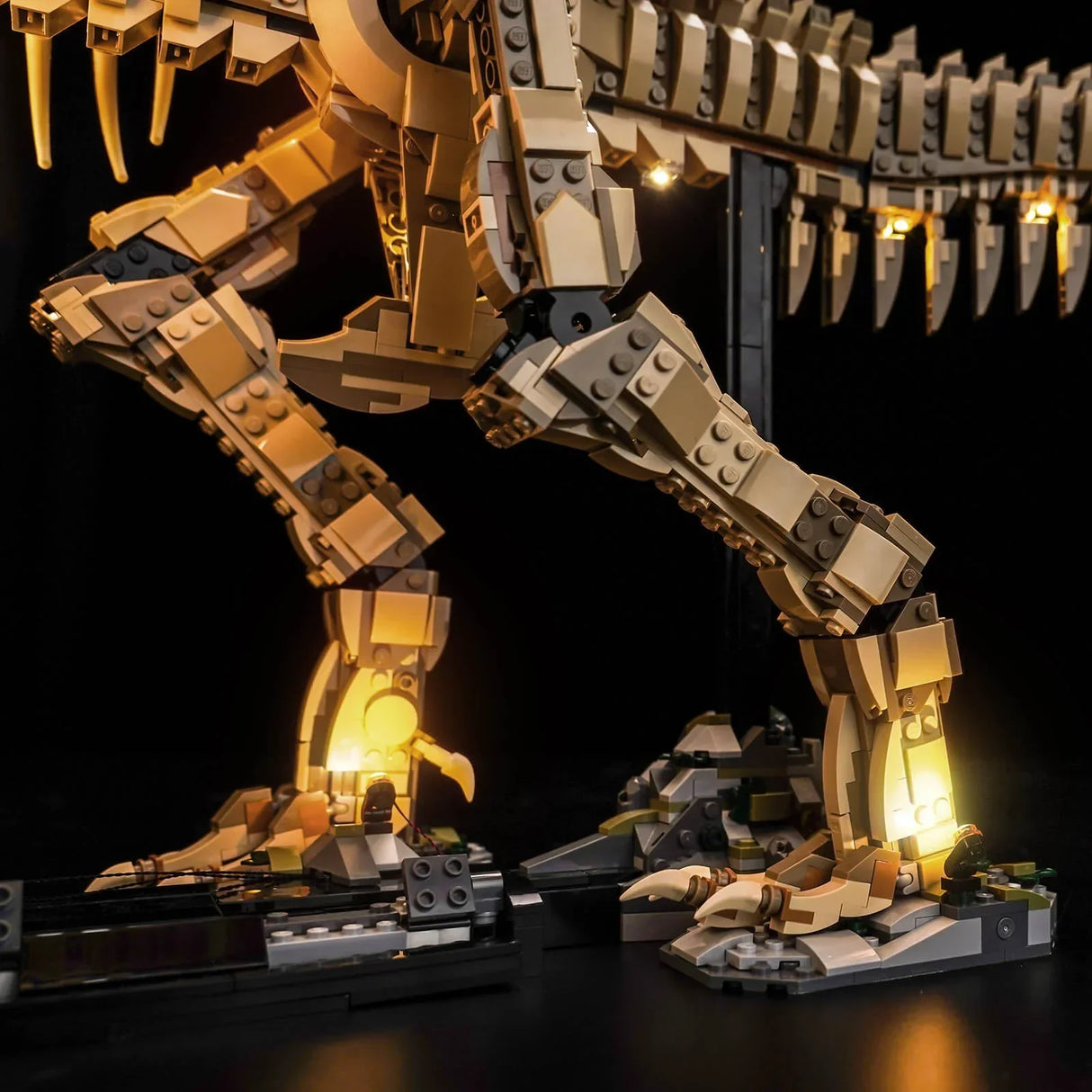 Beleuchtetes LEGO Dinosaurierskelett auf schwarzem Hintergrund
