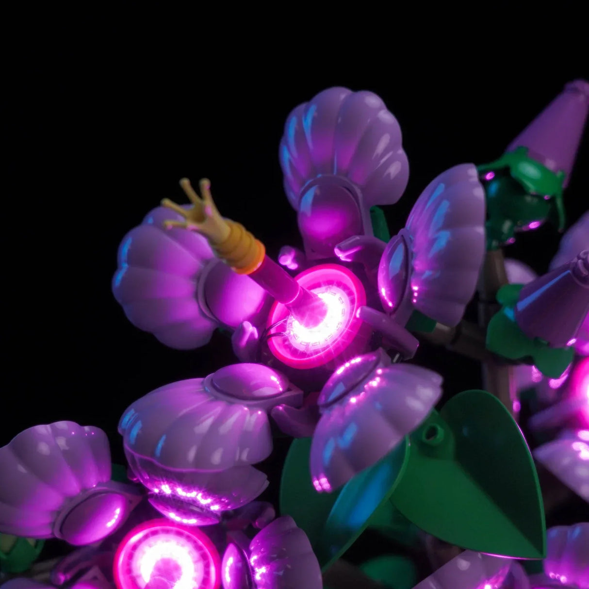 Nahaufnahme einer leuchtenden lila Blume mit grünen Blättern und einem gelben Stempel