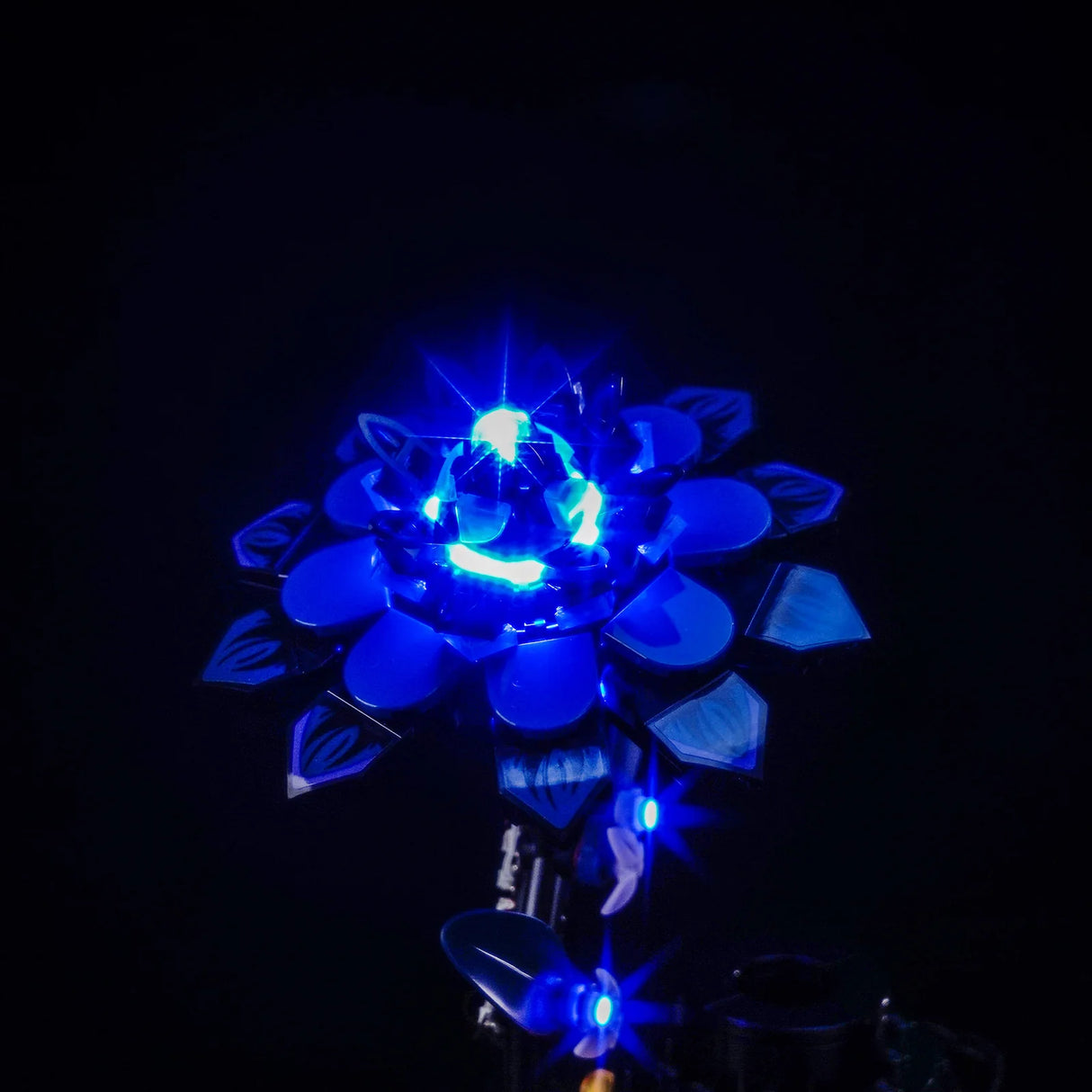 Leuchtende blaue Blume mit mehreren Blütenblättern und Lichtstrahlen auf schwarzem Hintergrund