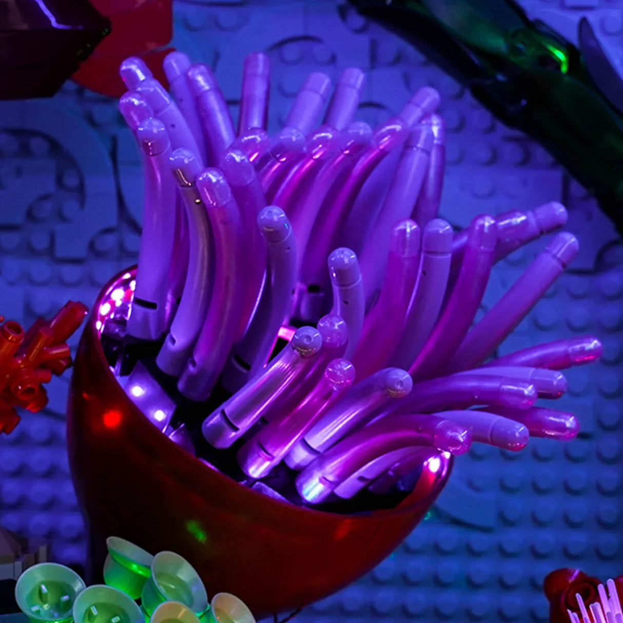 Nahaufnahme einer leuchtenden lila Seeanemone in einer roten Schale