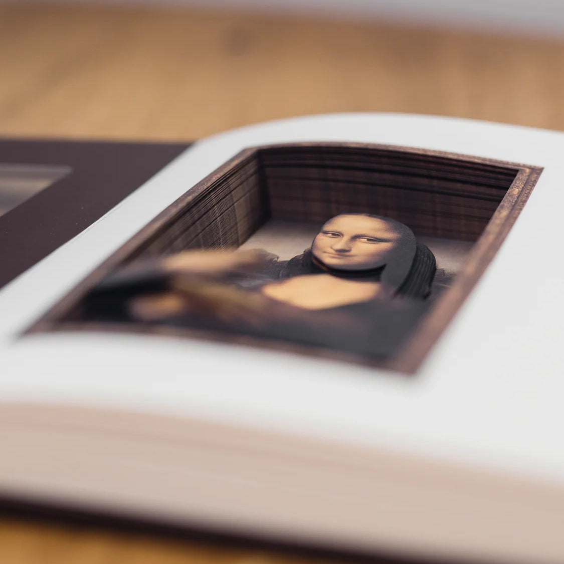 Mona Lisa in einem Buchausschnitt
