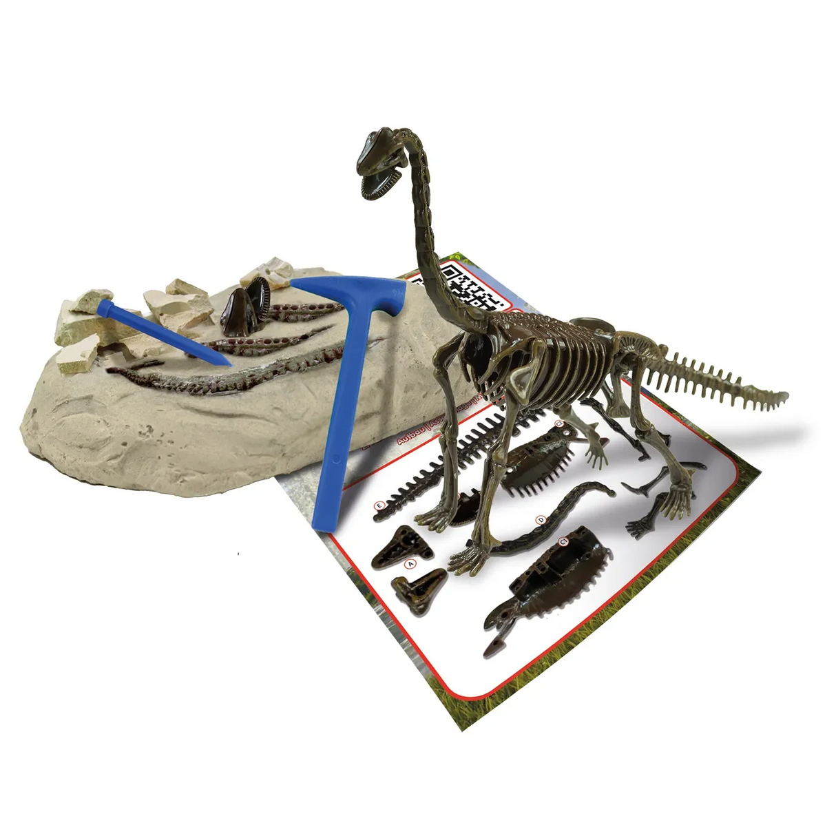 Dinosaurier-Skelett-Ausgrabungsset mit Werkzeugen und Anleitung