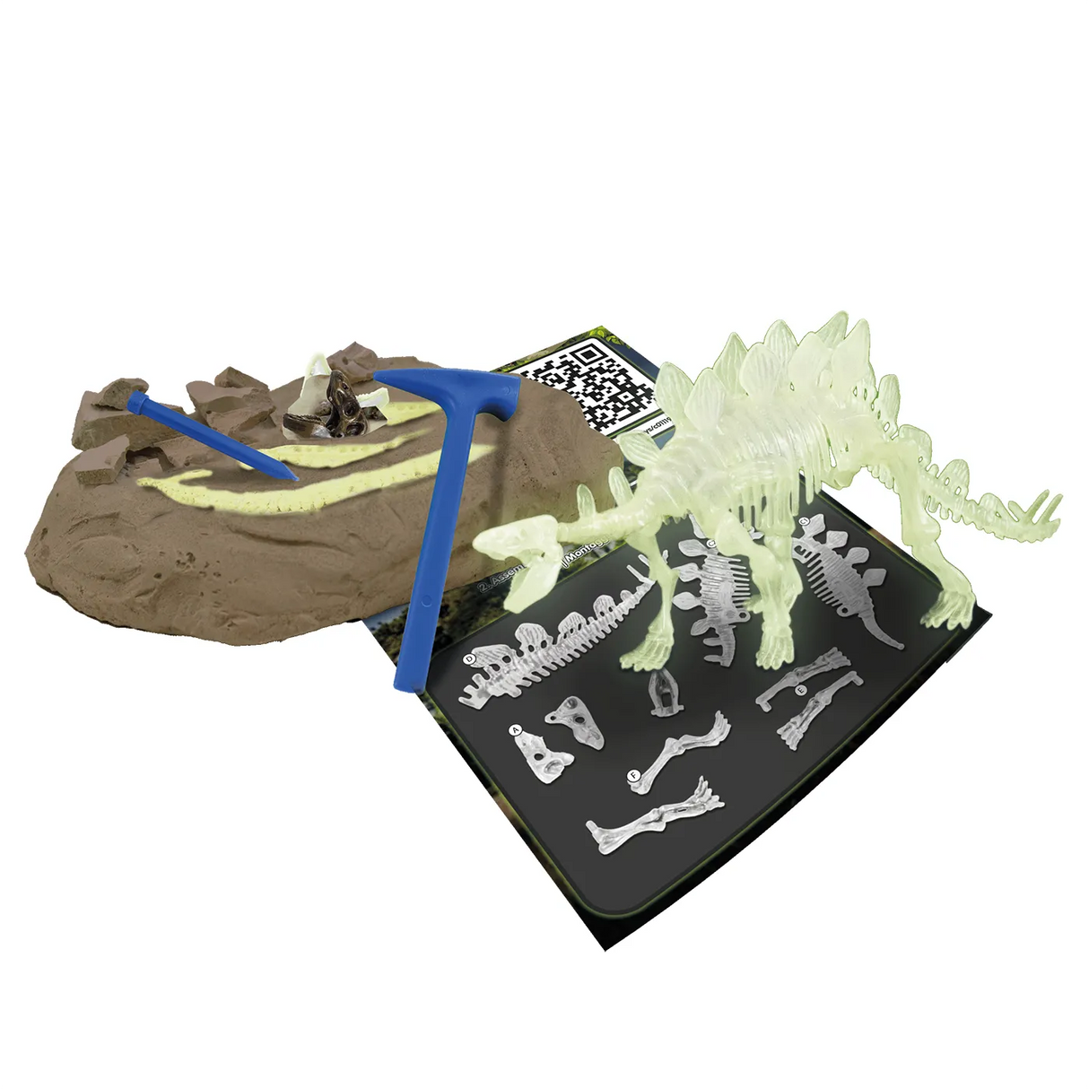 Dinosaurier-Ausgrabungsset mit leuchtendem Stegosaurus-Skelett und Werkzeugen