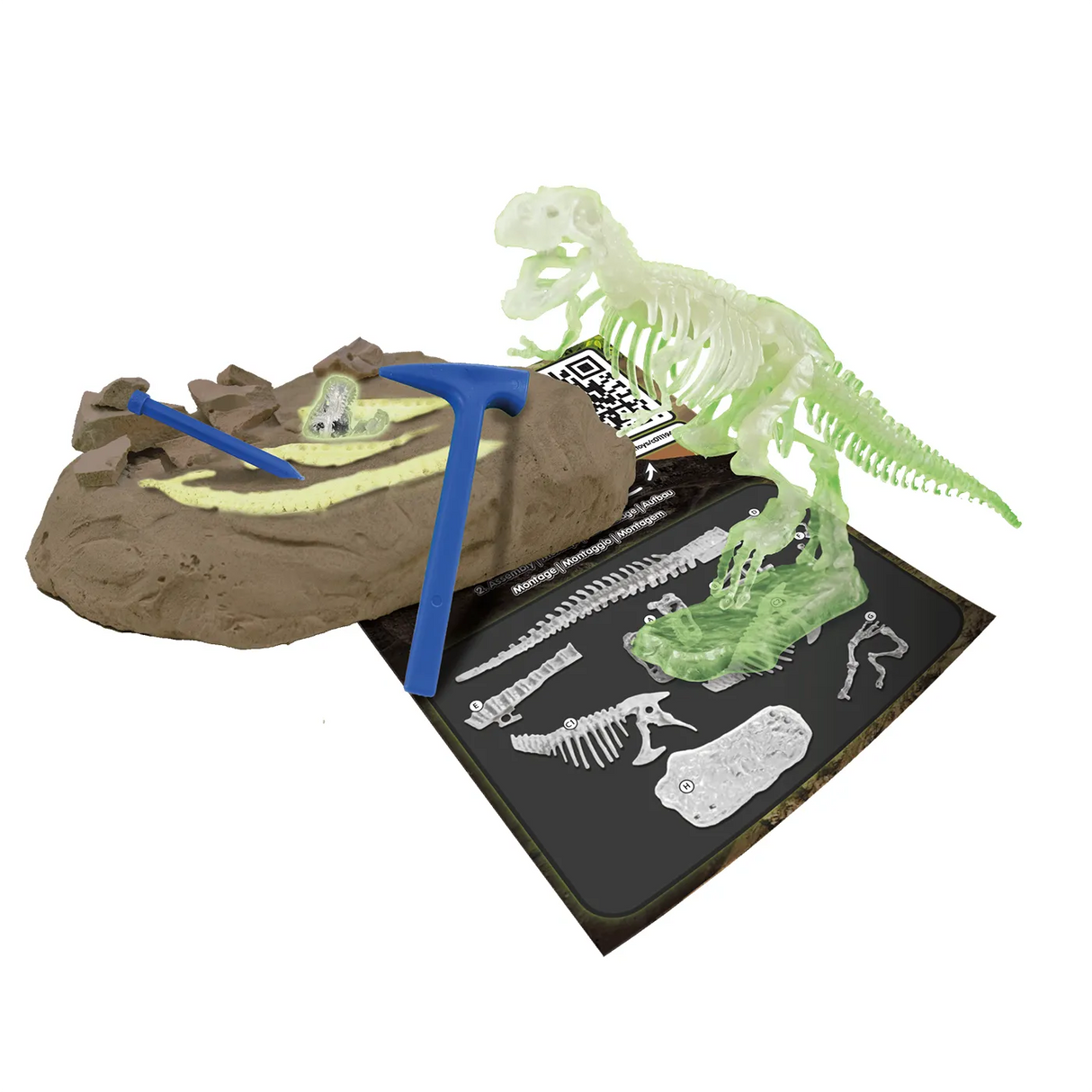 Dinosaurier-Ausgrabungsset mit leuchtendem Skelett, Werkzeugen und Anleitung auf weißem Hintergrund