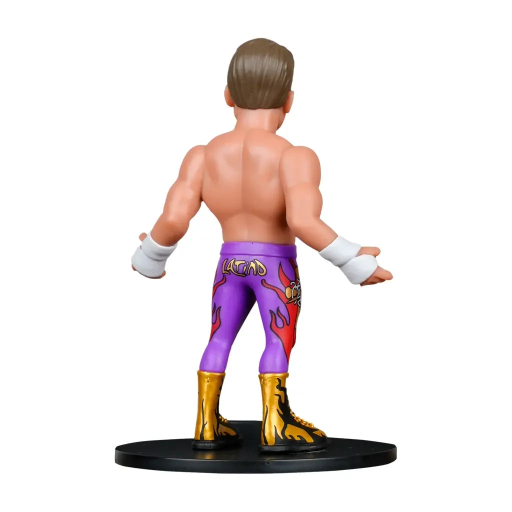 Rückansicht einer Wrestler-Figur mit braunen Haaren, lila Hose mit Flammenmuster und goldenen Stiefeln