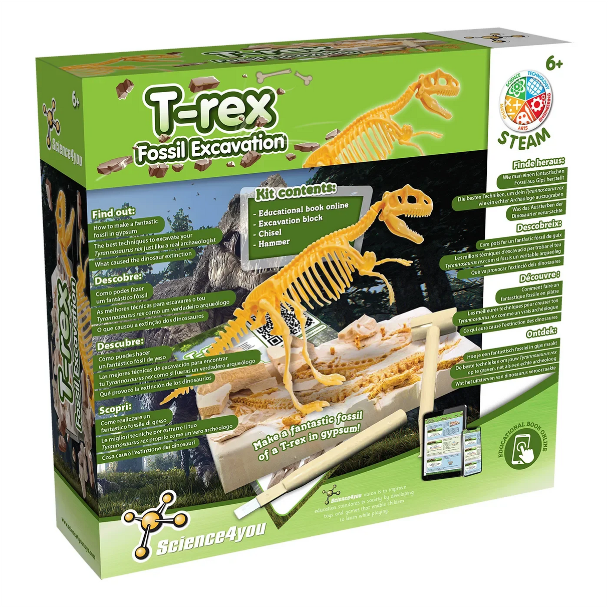 T-Rex Fossilienausgrabungsset mit Skelett und Werkzeugen