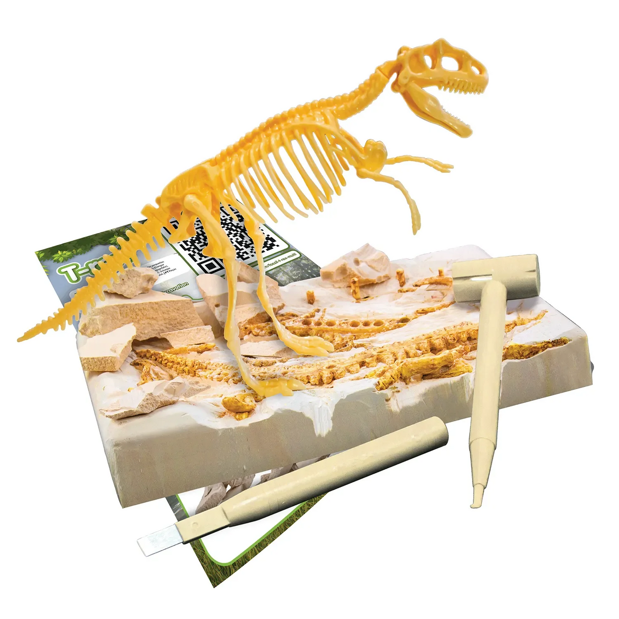 Dinosaurier-Ausgrabungsset mit T-Rex-Skelett, Meißel und Hammer