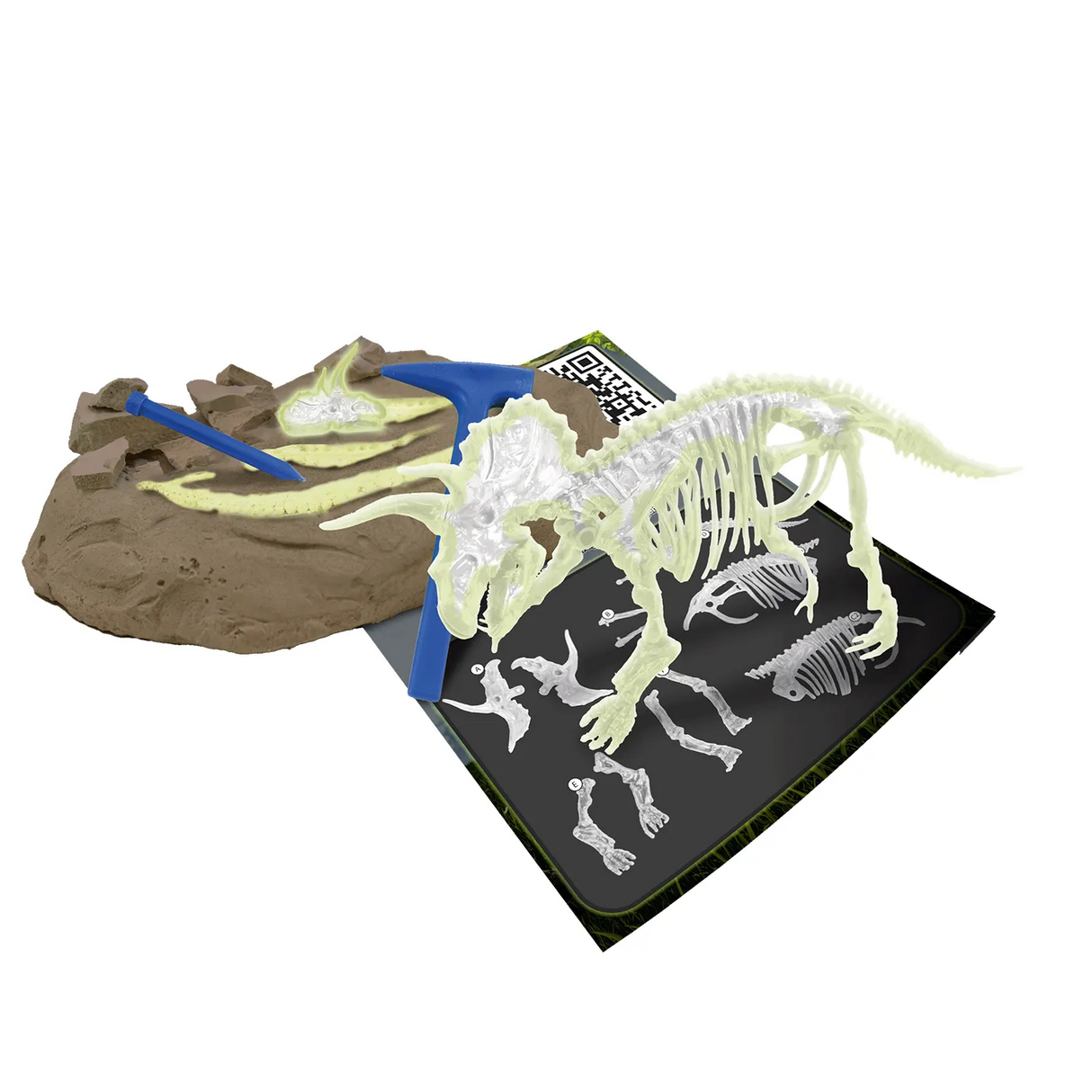 Dinosaurier-Ausgrabungsset mit leuchtendem Skelett und Werkzeugen