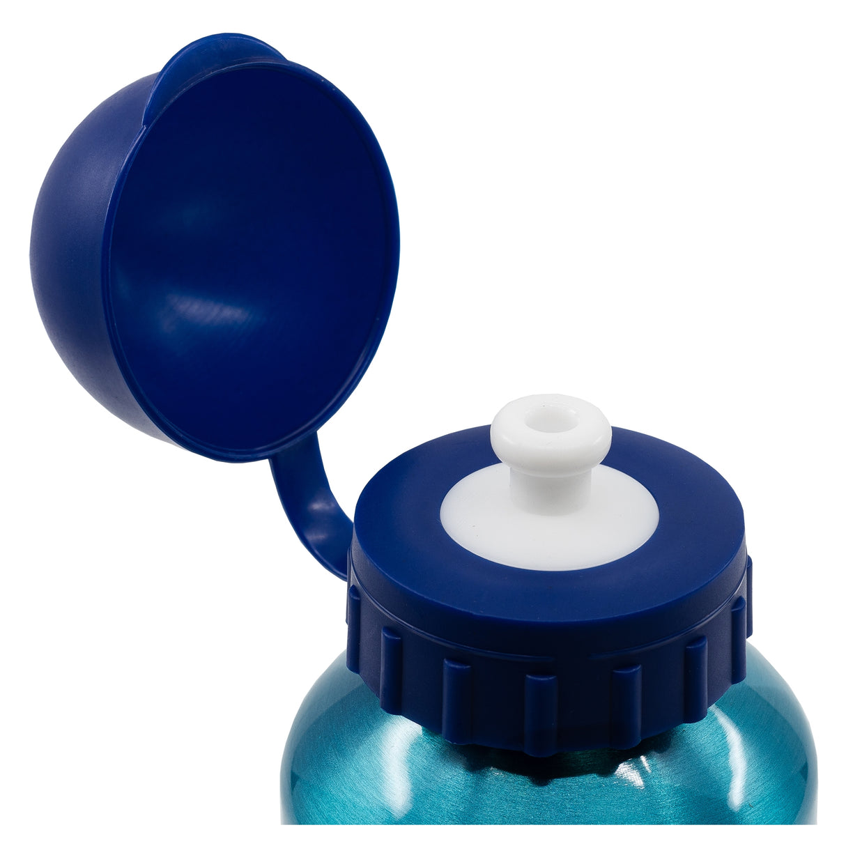 Bluey (400 ml) - Gourde