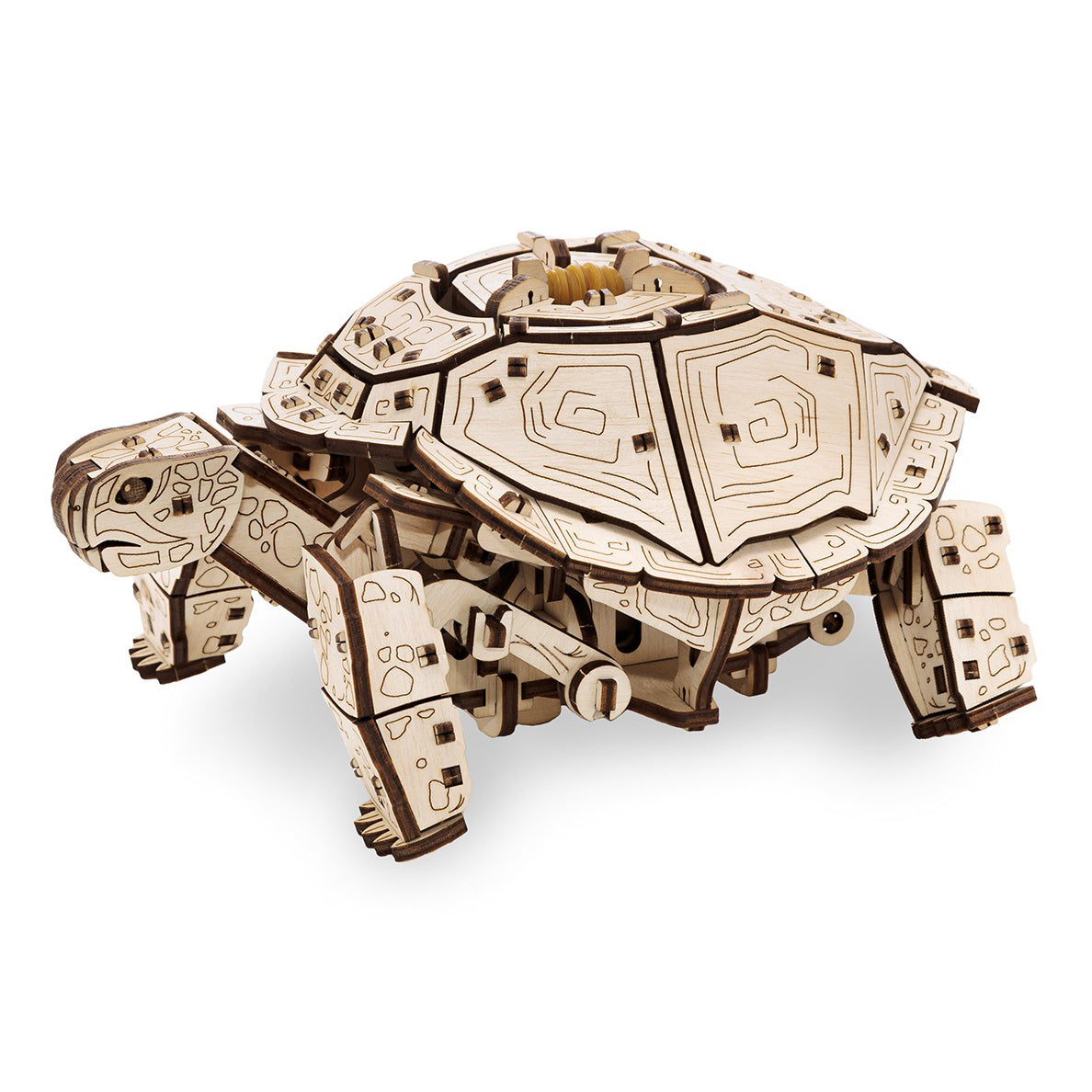 Tortue - Kit de construction en bois 3D