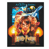 Harry Potter Der Stein der Weisen Diamond Painting mit Filmposter-Motiv, Harry, Dumbledore, Hedwig und Schloss Hogwarts