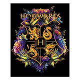Harry Potter Hogwarts Wappen Malen nach Zahlen mit den vier Häusertieren, Löwe, Schlange und farbenfrohem Blumendesign auf schwarzem Grund