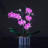 Ensemble de lumières LED pour LEGO Orchidée (10311)