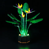 LED Licht Set für LEGO Creator Expert Paradiesvogelblume (10289) inkl. Fernbedienung