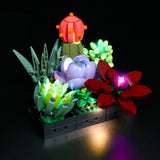 Ensemble d'éclairage LED pour plantes succulentes LEGO Creator Expert (10309)