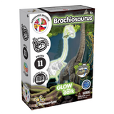 Kit de fouilles Brachiosaurus lumineux