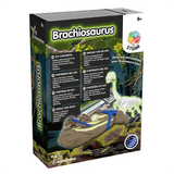 Kit de fouilles Brachiosaurus lumineux