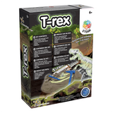 Kit de fouilles T-Rex lumineux