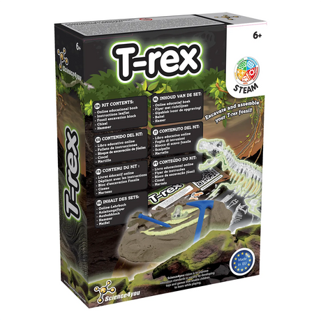 Kit de fouilles T-Rex lumineux