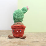 Kit de crochet pour cactus disque